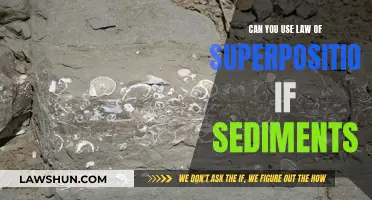 How the Law of Superposition Unveils Sedimentary Stories