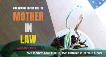 Orchid Soil: Mother-in-Law's Planting Companion