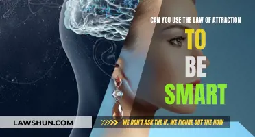 Attracting Intelligence: Using the Law of Attraction to Be Smart