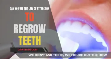 Attracting Dental Regeneration: Is It Possible?
