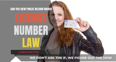 Public Records: Can You Access Driver's License Numbers?