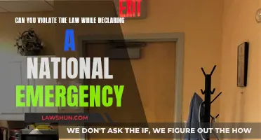 Emergency Powers: When Can a Leader Break the Law?