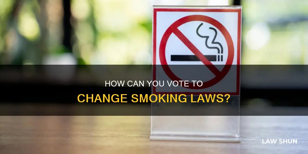 can you vote for smokeing laws