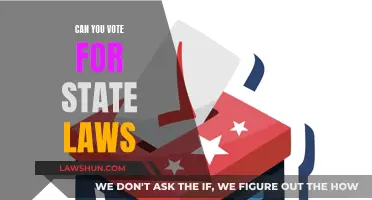 State Laws: Your Vote, Your Voice