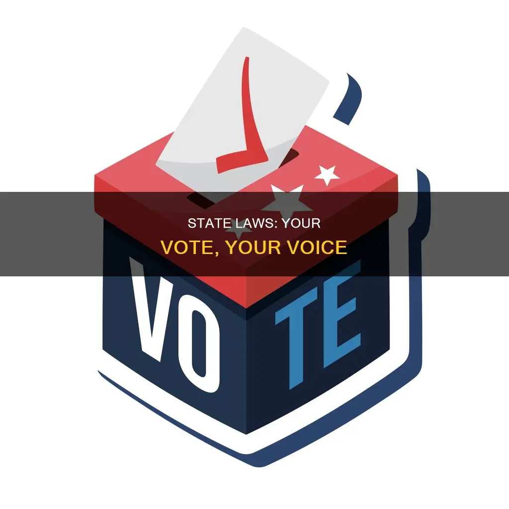 can you vote for state laws