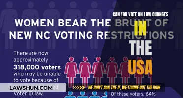 How to Vote on Law Changes in the USA