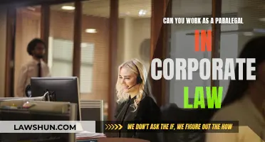 Paralegals in Corporate Law: What You Need to Know