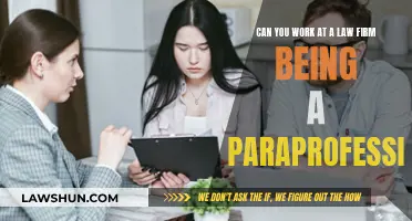 Law Firm Paraprofessionals: What's the Job Like?