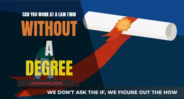 Law Firm Careers: Degrees, Alternatives, and Options