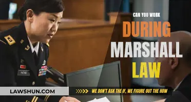 Martial Law: Work or No Work?