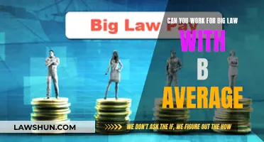 Big Law Dreams: B-Average Student's Guide