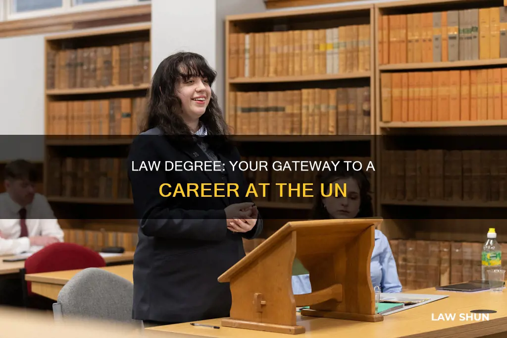 can you work for the un with a law degree
