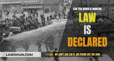 Martial Law: Work or No Work?