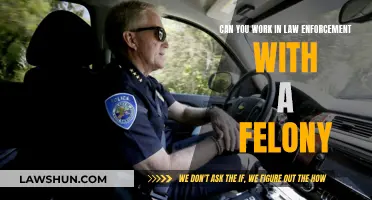 Felons in Law Enforcement: A Career Path?