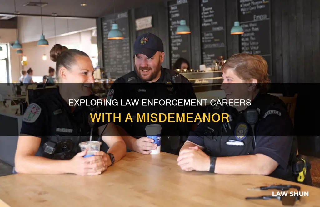 can you work in law enforcement with a misdemeanor