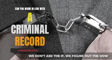 Criminal Record and a Law Career: Is It Possible?