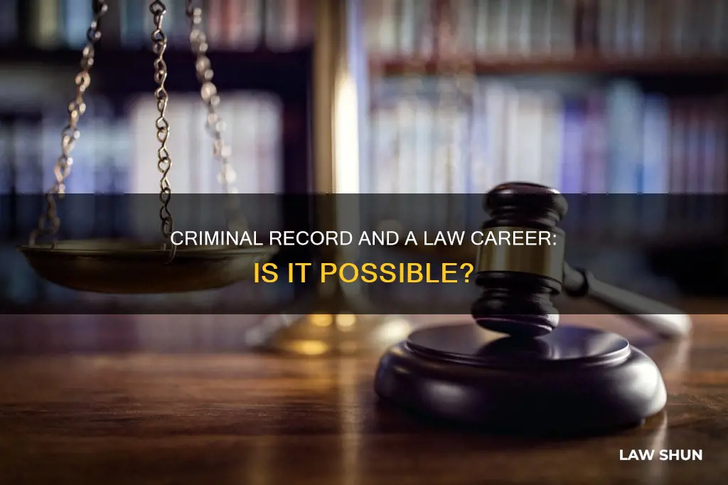 can you work in law with a criminal record
