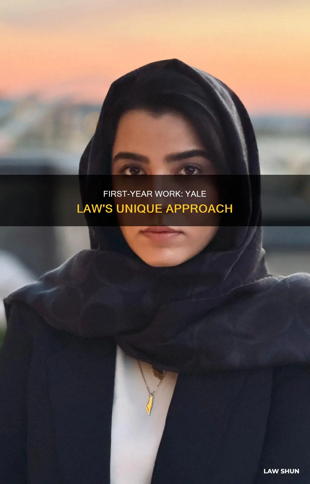 can you work your 1st year at yale law