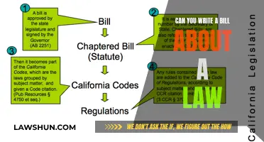 How to Write a Bill for a Law