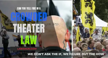 The Legalities of Yelling "Fire!" in a Crowded Theater