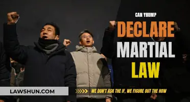 Martial Law: Can Trump Pull It Off?