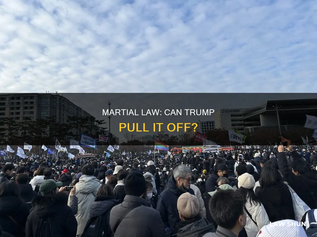 can yrump declare martial law