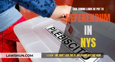 Zoning Laws in NYS: Can We Vote?