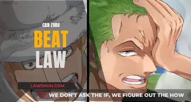 Zoro vs Law: Who Would Win?