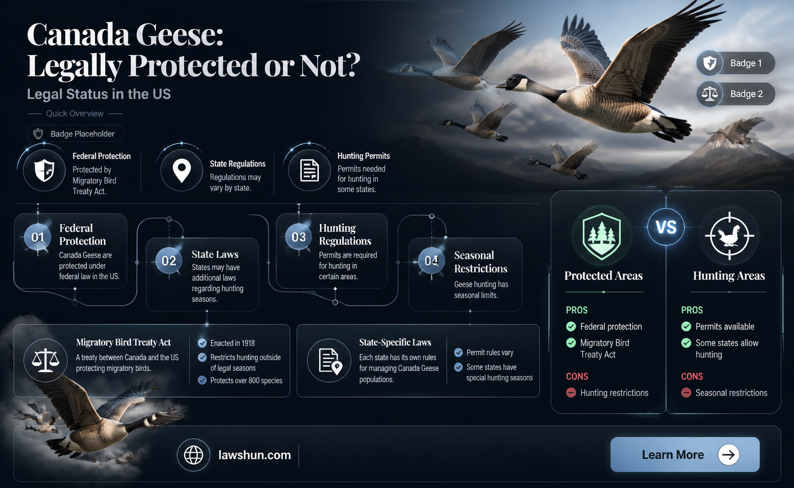 are canada geese protected by law