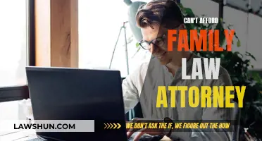 Family Law: Expensive, but Necessary?