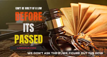 No Retroactive Guilt: Laws and Their Passing