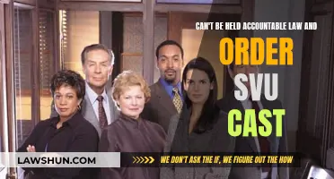 SVU Cast: Who's Accountable?