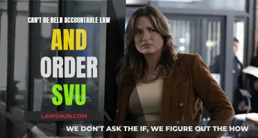 Law & Order: SVU's Most Controversial Episode