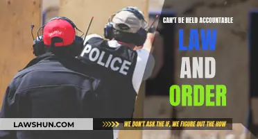 Law and Order: Who's Accountable?