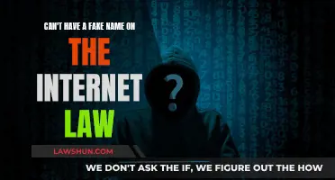 Online Anonymity: The Right to Fake Names