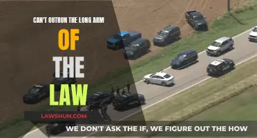 The Law's Long Arm: Nowhere to Hide