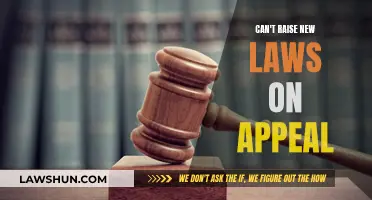 Appeal Process: New Laws Cannot Be Raised