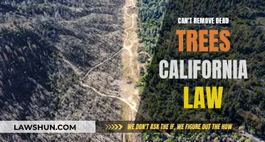 California's Strict Laws: Dead Trees Can't Be Removed