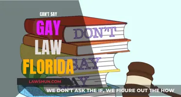 Florida's Anti-LGBTQ+ Laws: A Dark Time for Education