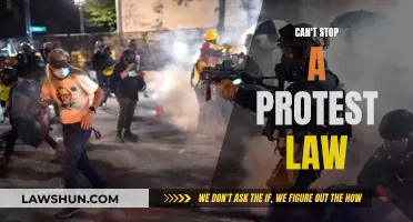 Protest Power: Laws Can't Stop the People