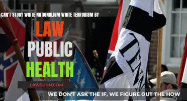 White Nationalism: A Public Health Crisis