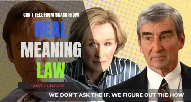 Snarky or Legit? Understanding the Law's Nuances