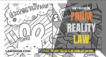 Satire or Reality? Laws to Protect the Confused