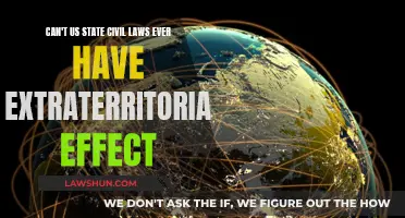 Civil Laws: Extraterritorial Effects in the US