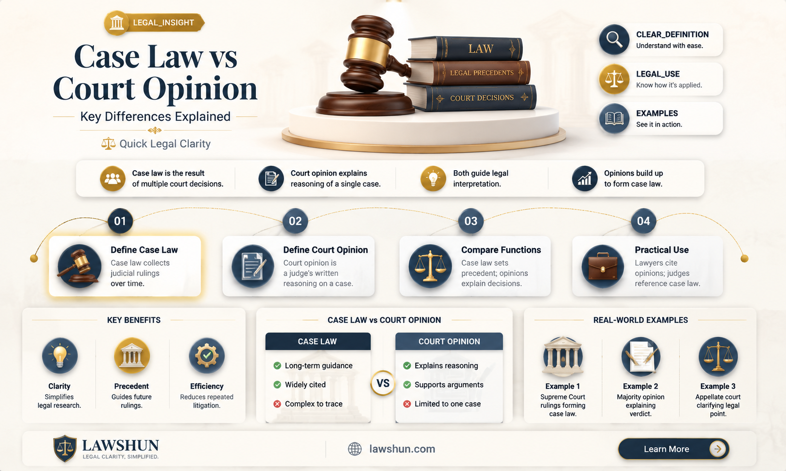 are court opinion and case law the same