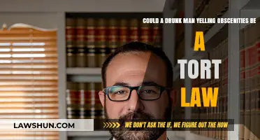 Drunk Man's Obscene Rant: A Tort Law Case?