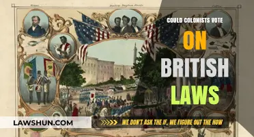 Could Colonists Vote on British Laws? Exploring Historical Rights and Limits
