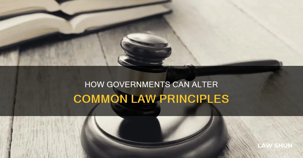 could government change the common law