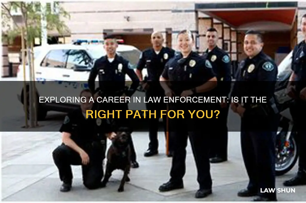 could i be in law inforcment