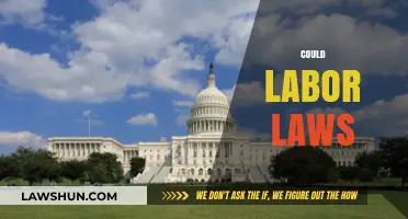 Could Labor Laws Transform Workplaces and Empower Employees?